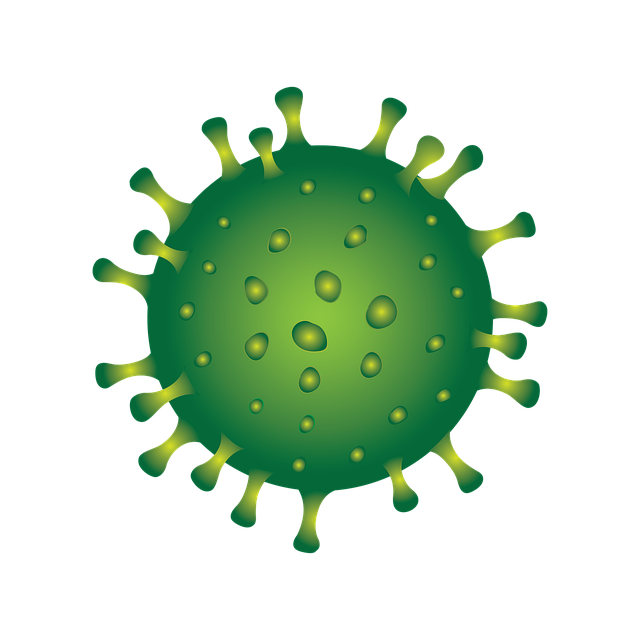 coronavirus 4947717 640